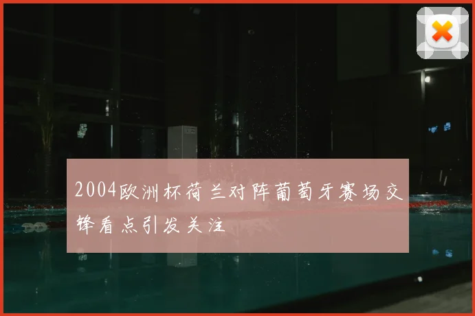 2004欧洲杯荷兰对阵葡萄牙赛场交锋看点引发关注